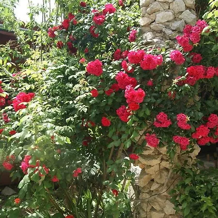 El Refugio De Alamut Hotell 2*